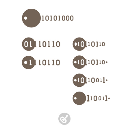 Set of keys with binary code. Electronic digital security system icon. The key to the program code....