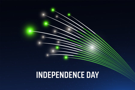 August 14, pakistan independence day, vector template with pakistani flag and colorful fireworks on blue night sky background. Pakistan national holiday august 14th. Independence day cardのイラスト素材