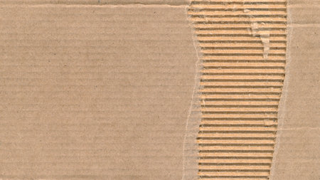 Wallpaper torn cardboard. Paperboard paper ripped frame, border. Corrugated torn cardboard empty background, realistic texture. Ragged horizontal vintage retro stylish wallpaper. Copy spaceの写真素材