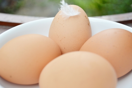 Eggs in bowの写真素材