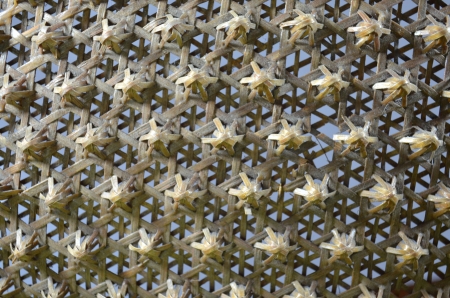 Woven wood pattern