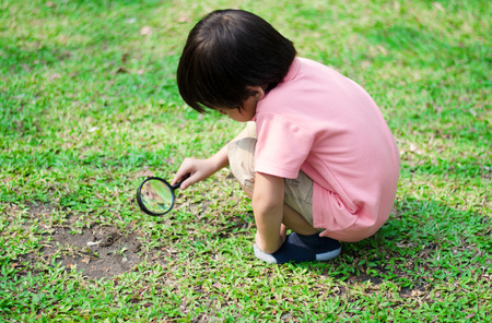 Little boy exploring with magnifying glass at the parkの写真素材