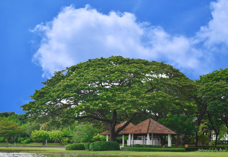 blue sky with cloudの写真素材