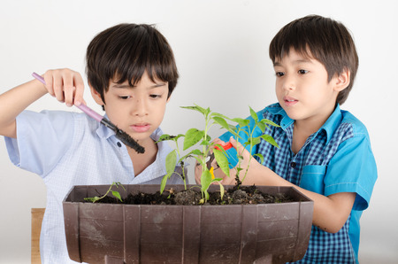 Little sibbling boy working with gardening togetherの写真素材