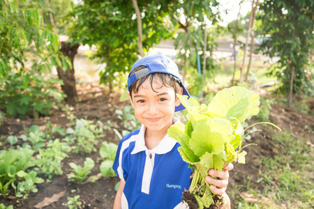 Little boy working planting in the farm outdoorの写真素材