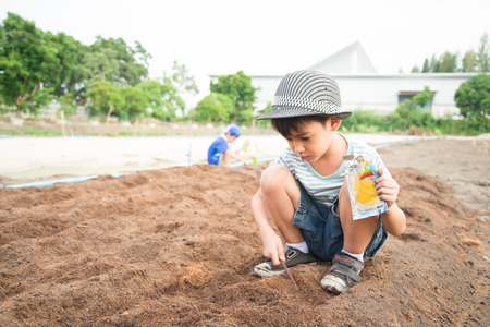 Little boy working planting in the farm outdoorの写真素材