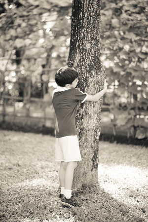 Little boy holding tree in the parkの写真素材
