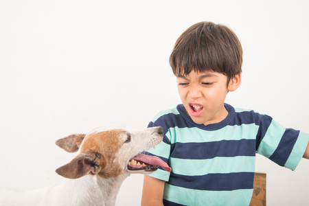 Little boy playing with his friend dog jack russelの写真素材