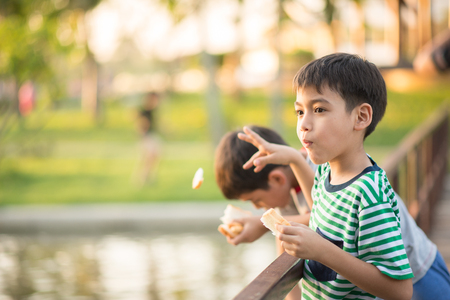 Little boy feeding fish in the parkの写真素材