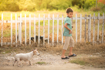 Little boy walking outside with dog jack russel summer time の写真素材