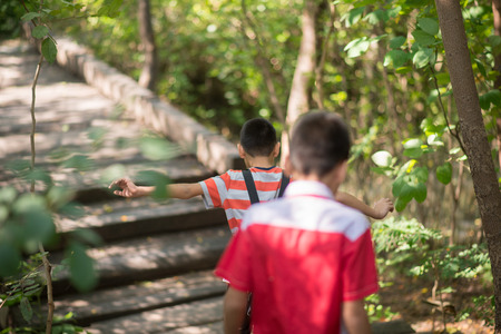 Family walking in the city park learn the nature education の写真素材