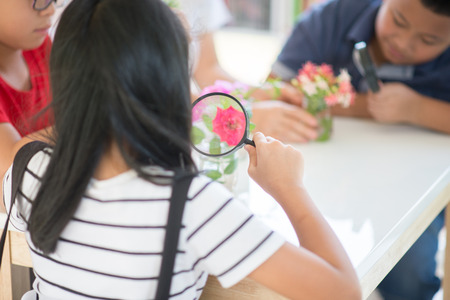 Asian Students and teach study biology scicence in the outdoor classroom の写真素材