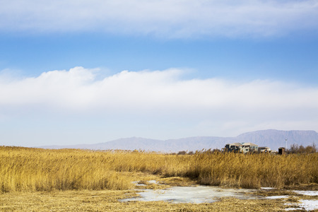 wintertimeのeditorial素材