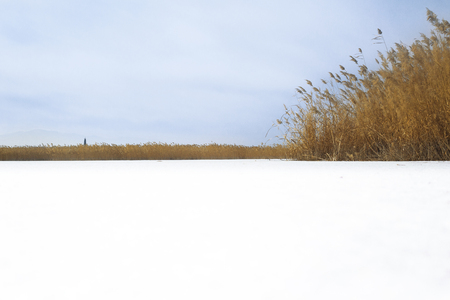 wintertimeの写真素材