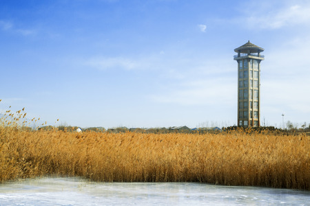 wintertimeのeditorial素材