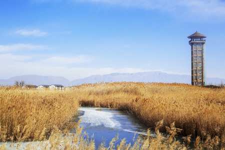 wintertimeのeditorial素材