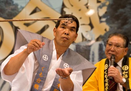 Kajiki, Kagoshima prefecture, Japan, June 15, 2008, A referee watches two St. Andrew's Cross spiders fighting at the Kajiki kumo gassen (spider-fight) held each June in Kajiki, Kagoshima, Japan.のeditorial素材