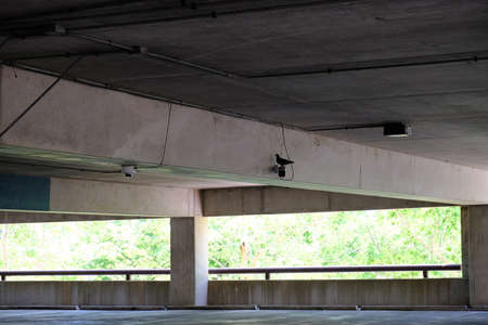 Parking Tower Security Camera Pigeon