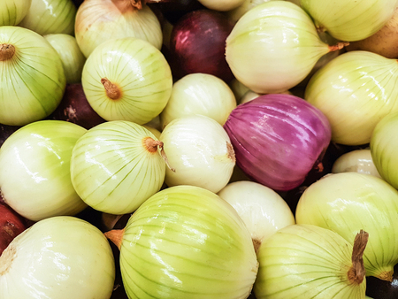 Close-up of a fresh raw onions for sale as an agricultural background or texture.の写真素材