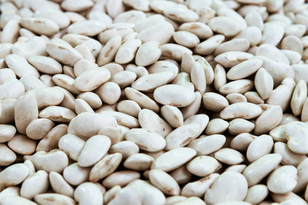 Heap of white beans in close-up as a texture or background.
