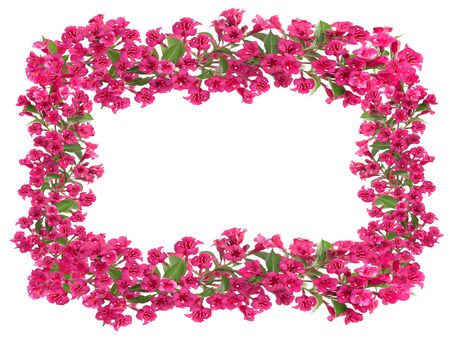 Composite image of beautiful blooming red flowers frame isolated on a white background with copy space.の写真素材