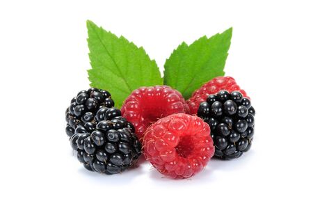 Composition of fresh raspberries and blackberries fruits with green leaves in close-up isolated on...