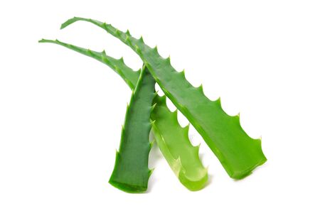 Fresh aloe vera leaves isolated on white background in close-upの写真素材