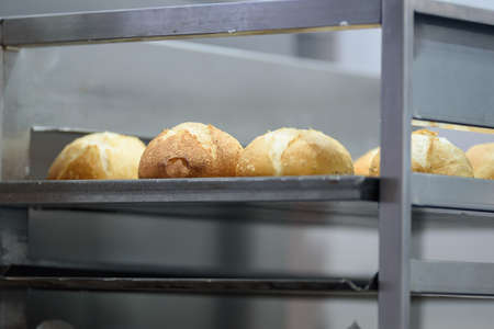 Fresh tasty buns on a baking sheet in the bakery