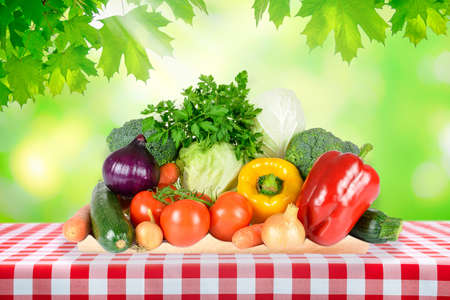 Healthy eating concept - outdoor picnic with fresh assorted vegetables on a table with classic Italian red checkered tablecloth.