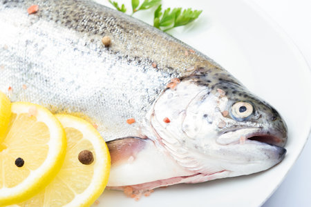 Raw rainbow trout marinated in fresh herbs and lemon for cooking on a plate in close-upの写真素材
