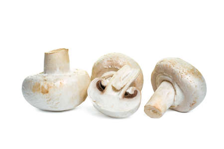 Fresh edible champignon mushrooms isolated on a white background close-up.の写真素材