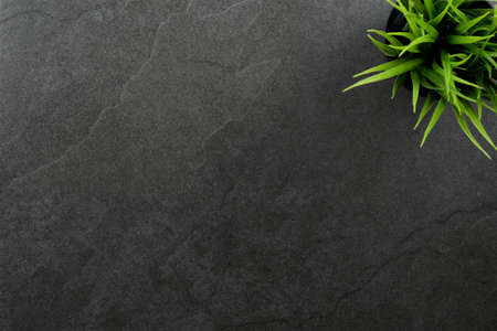 Top view of  table or countertop of a beautiful dark slate stone with a green plant