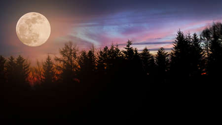 Picturesque landscape - multi colored sky with moon over dark forest.の写真素材