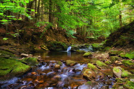 Picturesque mountain stream in a deep spring forest - Magurski National Park in Carpathian Mountain...