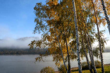 Beautiful autumn landscape with birch trees and misty lake on a sunny morning day. High resolution image, perfect for interior decoration in Healing by Nature Fine Art Design style.の写真素材