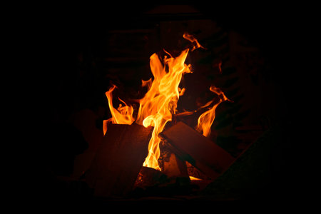 Intense fire flames and burning trees in the fireplace on a dark background.の写真素材
