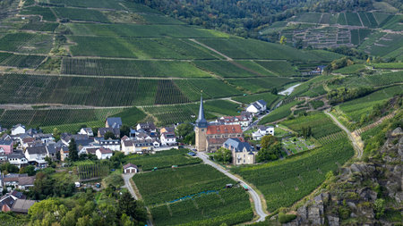 Panoramic view of the vineyards of MayschoÃŸ in the Ahr Valley