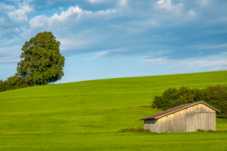 Barn on a green hill with a blue sky in the background, landscape with wooden houseの写真素材