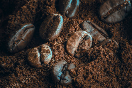 Coffee beans and ground coffee. Selective focus. Toned.の写真素材