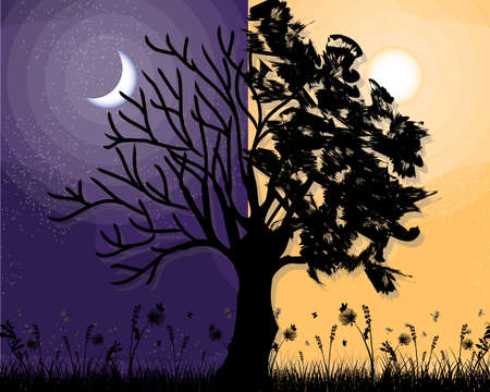 Day and night flat vector tree landscape with moon, Vector concept for weather app. Landscape nature day and night illustrationのイラスト素材