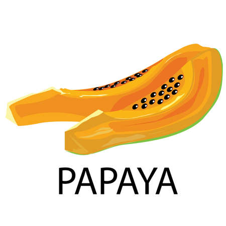 Slice ripe papaya illustration isolated on the white backgroundのイラスト素材