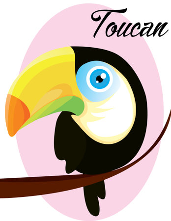 One Bird with Big beak, Toucan bird sitting on the branch in with white background. Watercolor painting illustration on paper, animal life.のイラスト素材