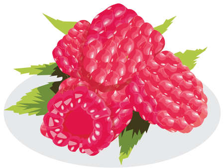 Raspberry with leaves isolated on white background.
