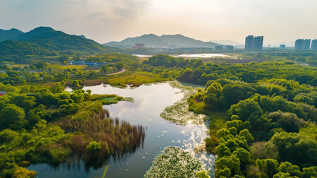 Aerial photo of natural scenery of Huayang Lake Wetland Park, Dongguan, China. Generative AIの素材
