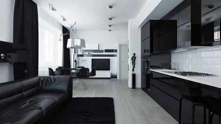 Modern black and white one room apartmentの素材