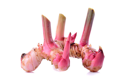 Galangal on white backgroundの写真素材