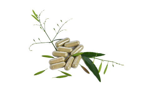 Kariyat herb Capsules isolated on white background.の写真素材