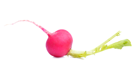 radish isolated on white backgroundの写真素材