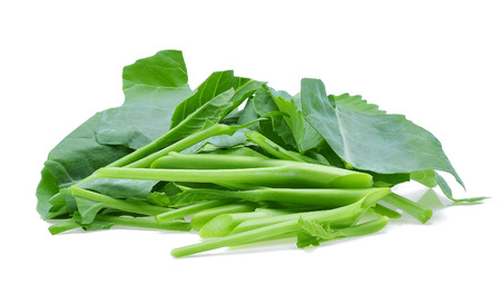 Chinese Broccoli, Chinese Kale on white backgroundの写真素材