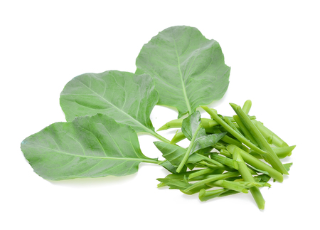 Chinese Broccoli, Chinese Kale on white backgroundの写真素材